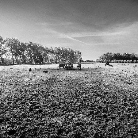 Bed & Breakfast De Bimd Hoeve De Bus Esterno foto