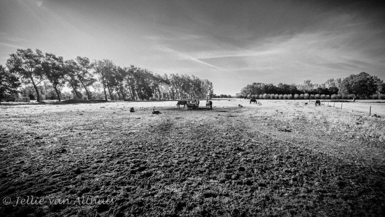 Bed & Breakfast De Bimd Hoeve De Bus Esterno foto